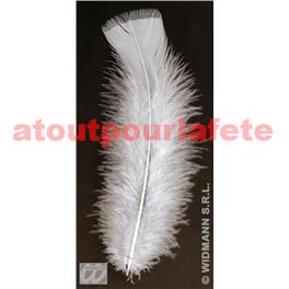 Plumes Blanches 10cms (palette de dinde) (sachet de 50)